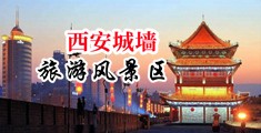 骚逼欠日中国陕西-西安城墙旅游风景区